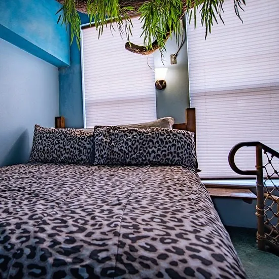 Swiss Family Robinson suite, view 2