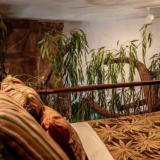 Swiss Family Robinson suite, view 3